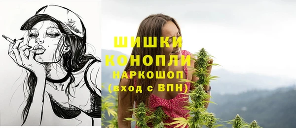 гидра Алексеевка